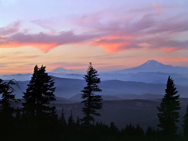 USA, Washington State. Sunset landscape with Mt. Adams and Mt. Rainier