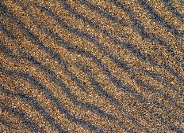 USA, Washington State, View of abstract pattern of sand in Olympic National Park
