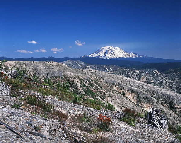 USA, Washington State, View of Mt Adams from the windy ridge area of Mt. St Helens