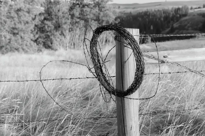 Framed Print : USA, Washington State, Whitman County, Palouse. Barbed wire fence Posts Framed Print : USA, Washington State, Whitman County, Palouse. Barbed wire fence Posts