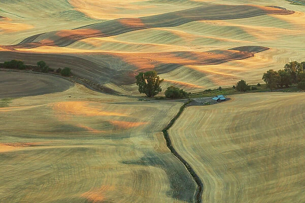 USA, Washington State, Whitman County, Palouse. Rolling fields and hills near Steptoe Butte