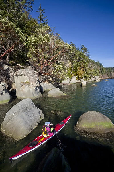 USA, Washington State. Woman sea kayaker paddles between rocks in Chuckanut Bay near Bellingham