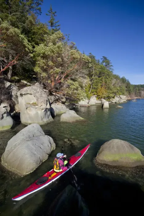 Framed Print : USA, Washington State. Woman sea kayaker paddles between rocks in Chuckanut Bay near Bellingham Framed Print : USA, Washington State. Woman sea kayaker paddles between rocks in Chuckanut Bay near Bellingham