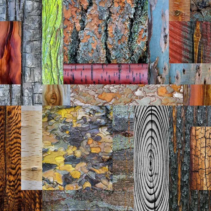 Framed Print : USA, Washington State. Wood and bark collage. ©Don Paulson / Jaynes Gallery / DanitaDelimont.com Framed Print : USA, Washington State. Wood and bark collage. ©Don Paulson / Jaynes Gallery / DanitaDelimont.com