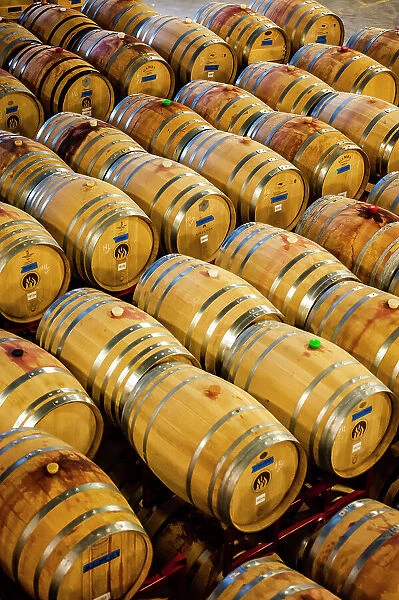 USA, Washington State, Woodinville. Barrell cellar holds hundreds of wine barrels. (Editorial Use Only)