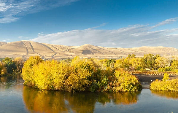 USA, Washington State, Yakima Valley. Fall colors are reflected in the Yakima River with
