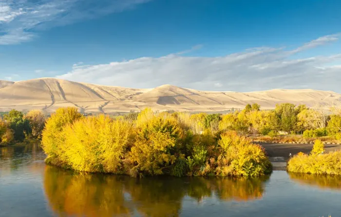 Framed Print : USA, Washington State, Yakima Valley. Fall colors are reflected in the Yakima River with Framed Print : USA, Washington State, Yakima Valley. Fall colors are reflected in the Yakima River with