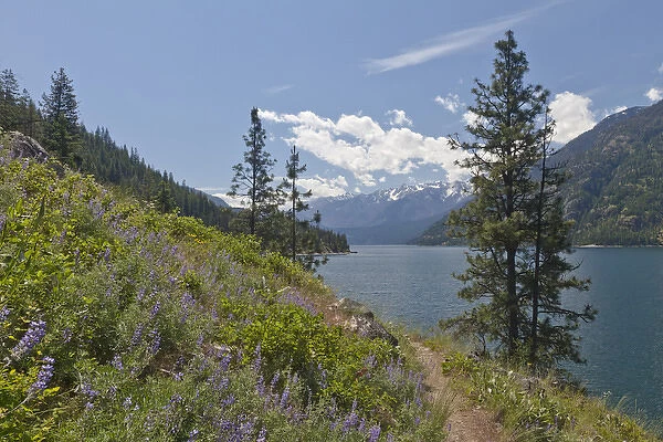 USA, Washington, Stehekin. Landscape of Lake Chelan