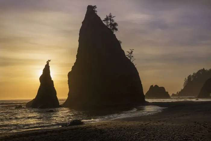 Framed Print : USA, Washington. Sunset on sea stacks at Rialto Beach