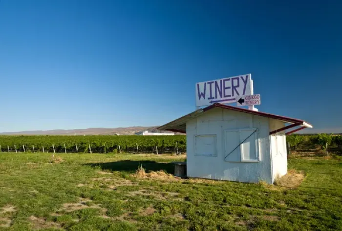 Framed Print : USA, Washington, Wahluke Slope AVA. The Wahluke Slope AVA produces grapes for many