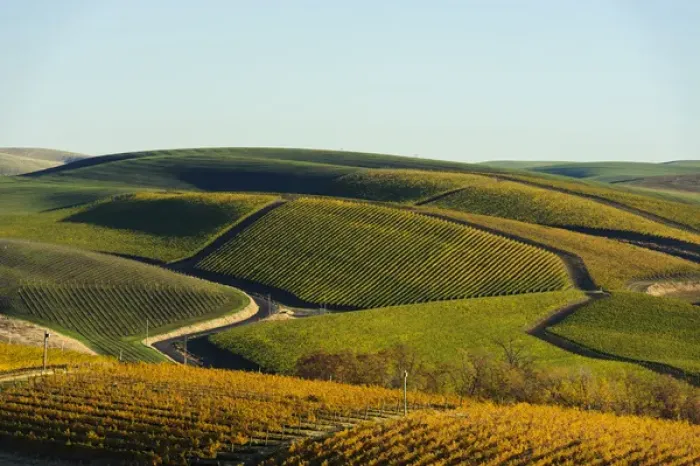 Framed Print : USA, Washington, Walla Walla. Spring Valley and Precept Vineyards Framed Print : USA, Washington, Walla Walla. Spring Valley and Precept Vineyards