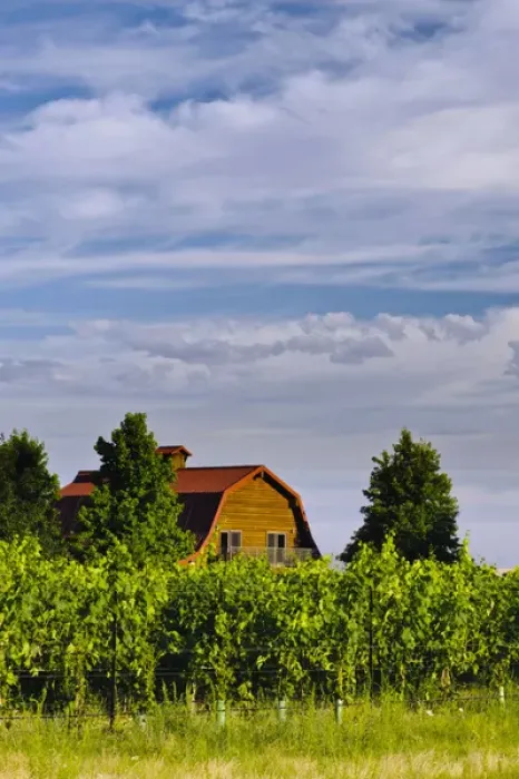 Framed Print : USA, Washington, Walla Walla. The tasting room of Walla Walla Vintners