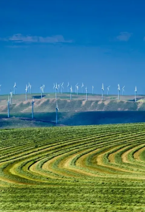 Framed Print : USA, Washington, Walla Walla. Wind turbines overlook farmland