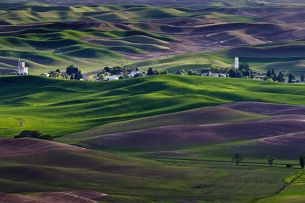 USA, Washington, Whitman County. Steptoe Butte view of Steptoe town and Palouse hills in green