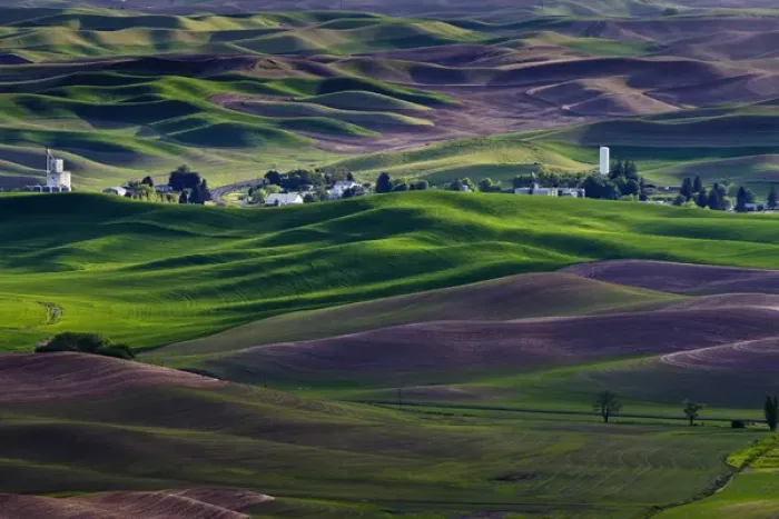 Framed Print : USA, Washington, Whitman County. Steptoe Butte view of Steptoe town and Palouse hills in green