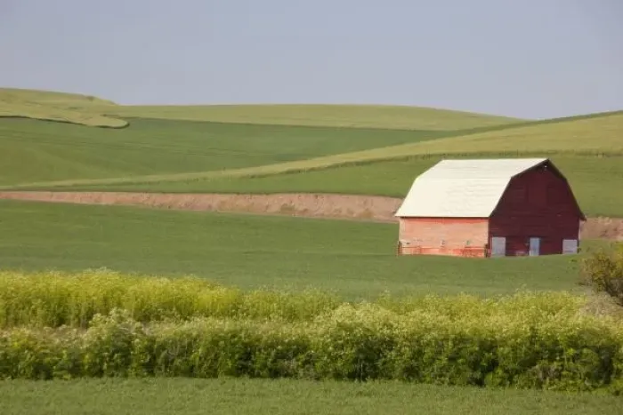 Framed Print : USA, Washington, Whitman County, The Palouse, Red barn in green field, along Endicott Framed Print : USA, Washington, Whitman County, The Palouse, Red barn in green field, along Endicott