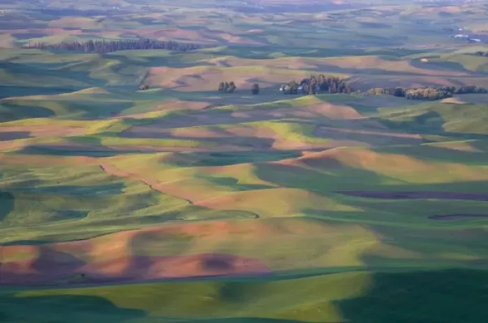 Framed Print : USA, Washington, Whitman County, Palouse Farmland, view from Steptoe Butte Framed Print : USA, Washington, Whitman County, Palouse Farmland, view from Steptoe Butte