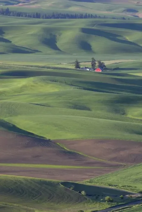 Framed Print : USA, Washington, Whitman County, Palouse Farmland, view from Steptoe Butte