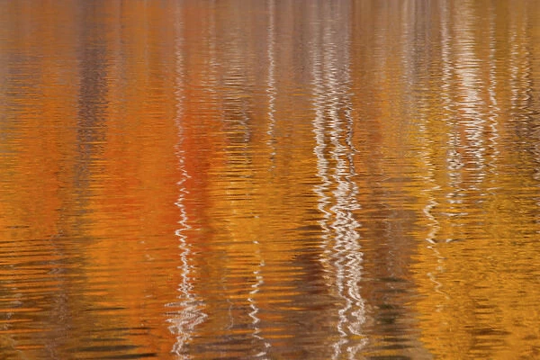 USA, Washington, Winthrop. Autumn reflections on Beaver Pond