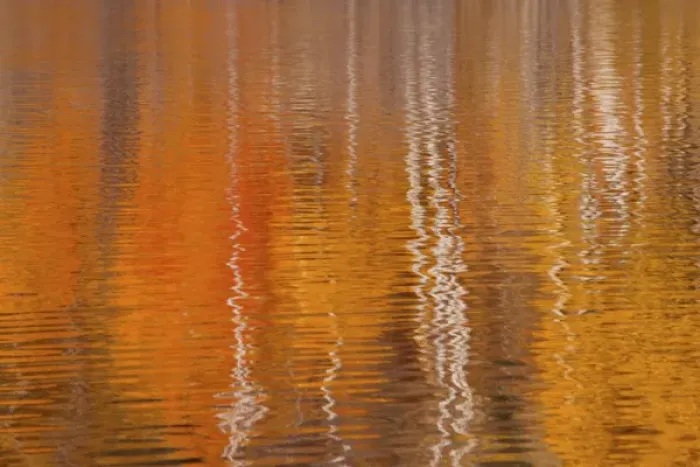 Framed Print : USA, Washington, Winthrop. Autumn reflections on Beaver Pond