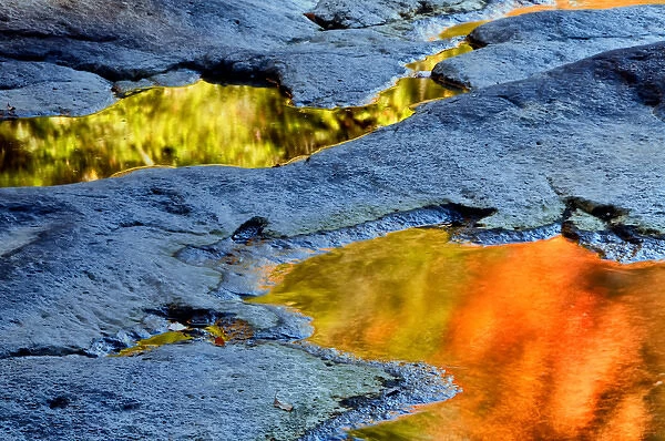 USA, West Virgina, Blackwater Falls State Park. Autumn reflections in pools of water