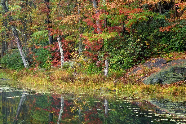 USA, West Virginia, Babcock State Park. Credit as: Jay O Brien  /  Jaynes Gallery