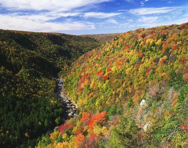 USA, West Virginia, Blackwater Falls State Park, View of Blackwater Canyon in autumn