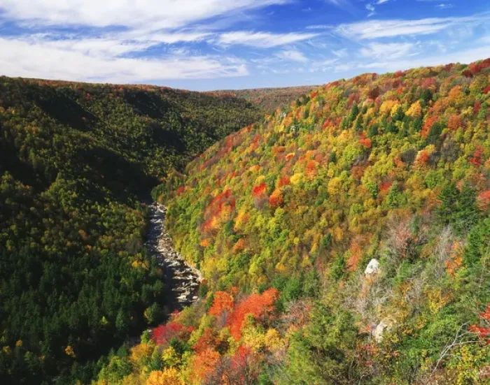Framed Print : USA, West Virginia, Blackwater Falls State Park, View of Blackwater Canyon in autumn Framed Print : USA, West Virginia, Blackwater Falls State Park, View of Blackwater Canyon in autumn