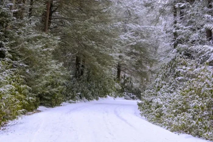 Framed Print : USA, West Virginia, Blackwater Falls State Park. Snow-covered road through forest Framed Print : USA, West Virginia, Blackwater Falls State Park. Snow-covered road through forest