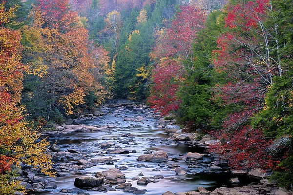 USA, West Virginia, Blackwater Falls State Park. Forest and stream in autumn. Credit as