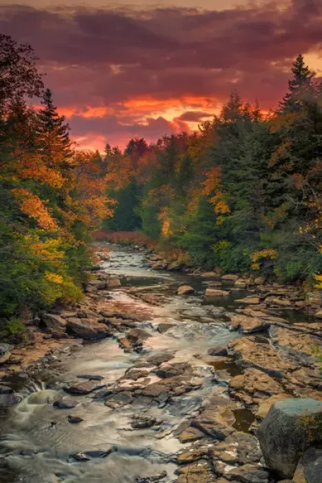 Framed Print : USA, West Virginia, Blackwater Falls State Park. Forest and stream in autumn. Credit as