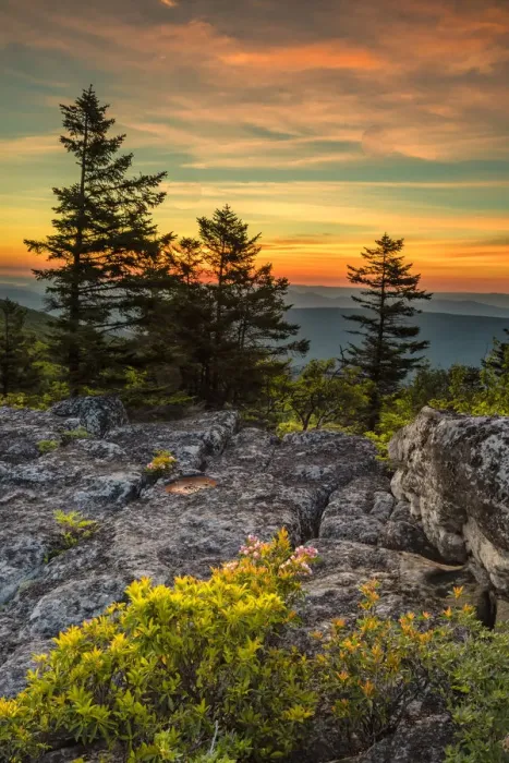 Framed Print : USA, West Virginia, Blackwater Falls State Park. Tree and landscape at sunset. Credit as Framed Print : USA, West Virginia, Blackwater Falls State Park. Tree and landscape at sunset. Credit as