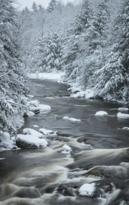 Framed Print : USA, West Virginia, Blackwater Falls State Park. Forest and stream in winter. Credit as