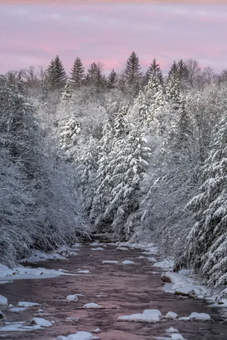 Framed Print : USA, West Virginia, Blackwater Falls State Park. Forest and stream in winter. Credit as Framed Print : USA, West Virginia, Blackwater Falls State Park. Forest and stream in winter. Credit as