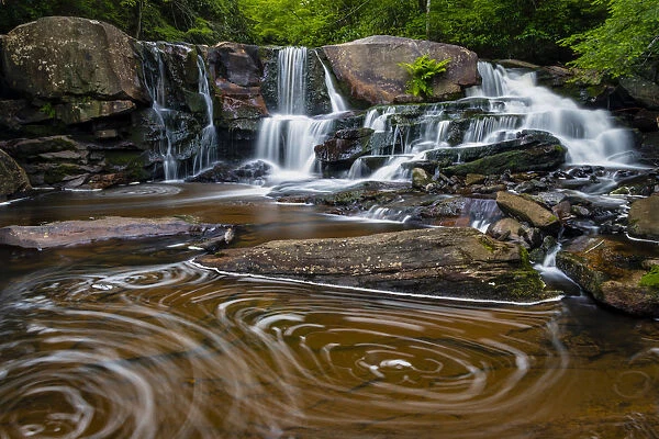 USA, West Virginia, Blackwater Falls State Park. Stream cascade and pool eddy. Credit as