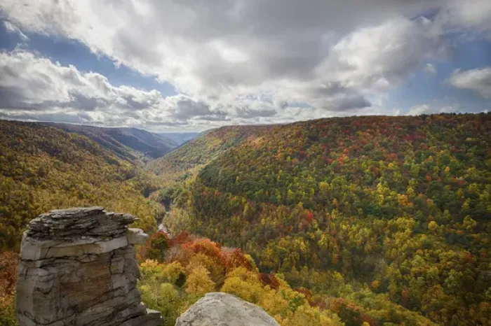 Framed Print : USA, West Virginia. Canaan Valley. Blackwater Canyon as seen from Lindy Point in Framed Print : USA, West Virginia. Canaan Valley. Blackwater Canyon as seen from Lindy Point in