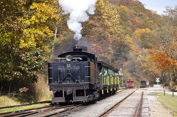 USA, West Virginia, Cass. Cass Scenic Railroad State Park, steam train