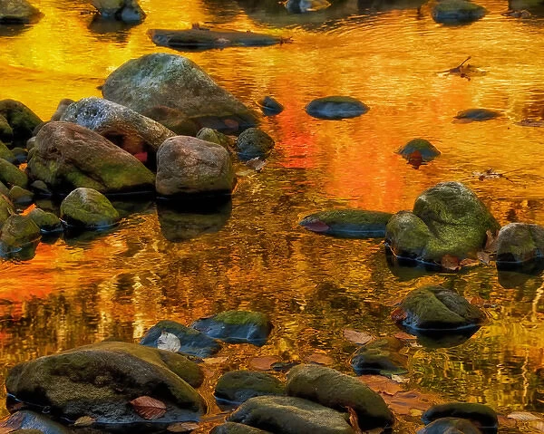 USA, West Virginia, Davis. Autumn reflections on pond