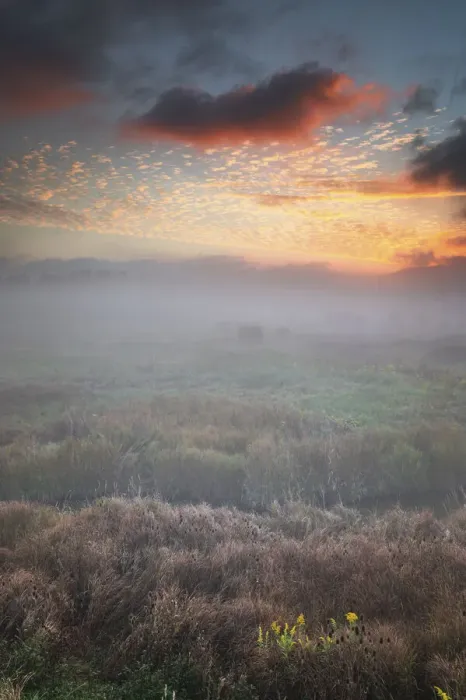 Framed Print : USA, West Virginia, Davis. Fog over stream in valley at sunrise