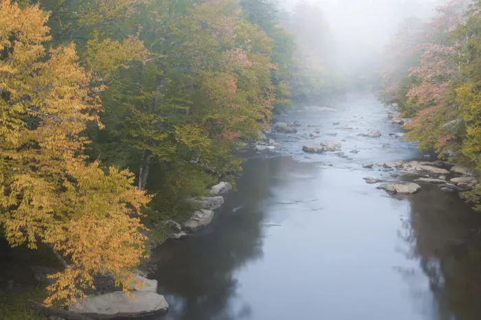 Framed Print : USA, West Virginia, Davis. Foggy stream in Blackwater State Park Framed Print : USA, West Virginia, Davis. Foggy stream in Blackwater State Park