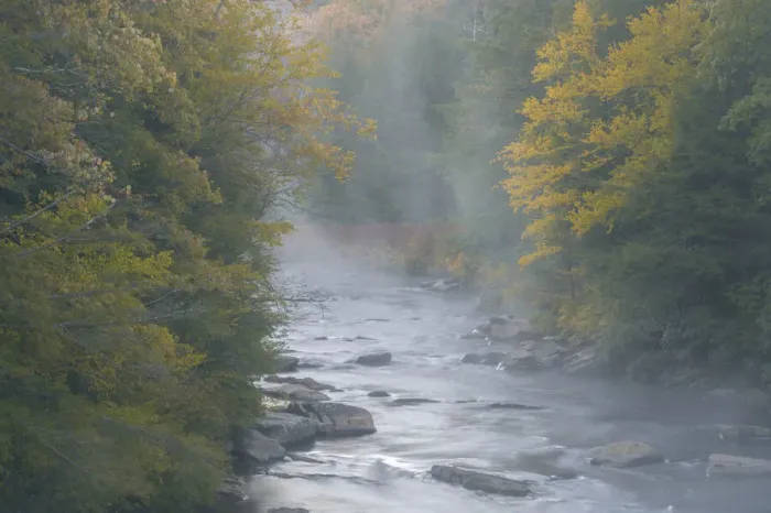 Framed Print : USA, West Virginia, Davis. Foggy stream in Blackwater State Park Framed Print : USA, West Virginia, Davis. Foggy stream in Blackwater State Park