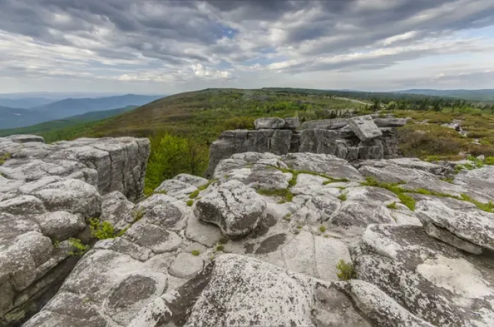 Framed Print : USA, West Virginia, Davis. Landscape in Dolly Sods Wilderness Area Framed Print : USA, West Virginia, Davis. Landscape in Dolly Sods Wilderness Area