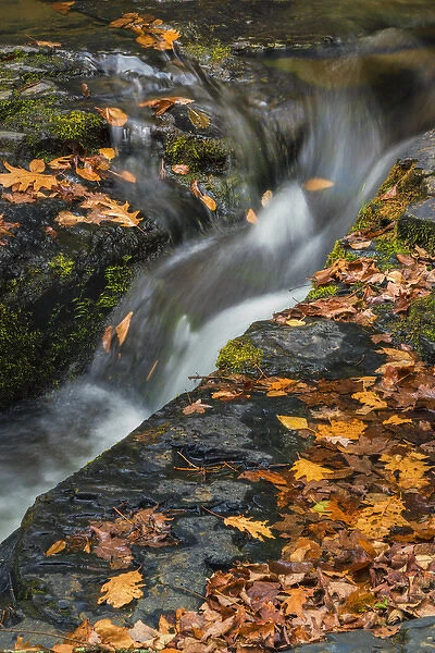 USA, West Virginia, Delaware Watergap Recreational Area. Scenic of Dingmans Falls waterfall