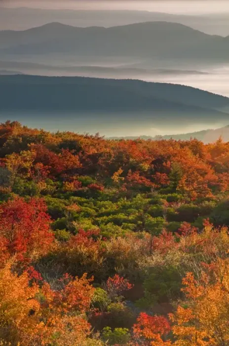 Framed Print : USA, West Virginia, Dolly Sods Wilderness. Sunrise on autumn landscape. Credit as Framed Print : USA, West Virginia, Dolly Sods Wilderness. Sunrise on autumn landscape. Credit as
