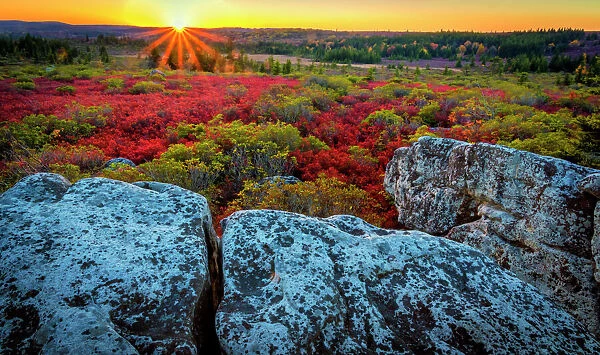 USA, West Virginia, Dolly Sods Wilderness Area. Sunset on tundra and rocks. Credit as