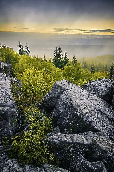 USA, West Virginia, Dolly Sods Wilderness Area. Sunrise on mountain boulders and forest