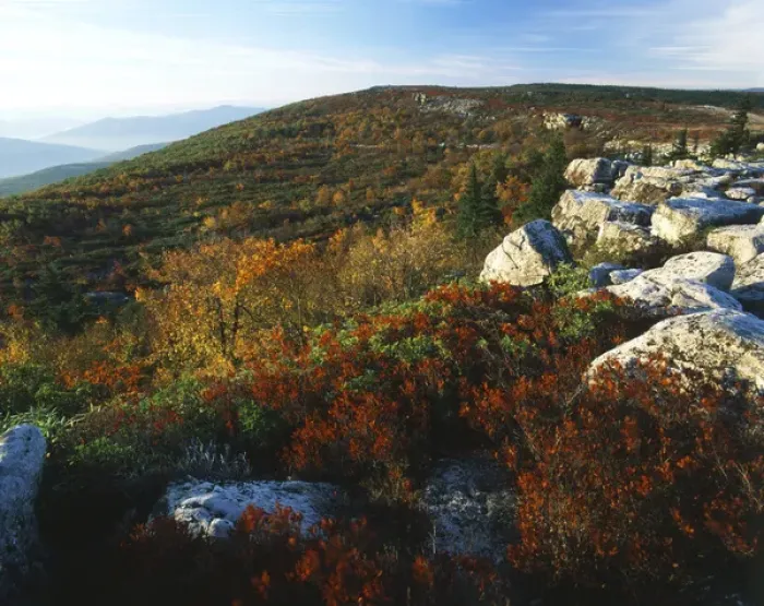 Framed Print : USA, West Virginia, Monongahela National Forest, Bear Rocks in Dolly Sods Wilderness Area Framed Print : USA, West Virginia, Monongahela National Forest, Bear Rocks in Dolly Sods Wilderness Area