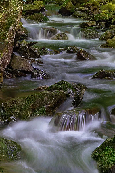 USA, West Virginia, New River Gorge National Park. Stream rapids in spring