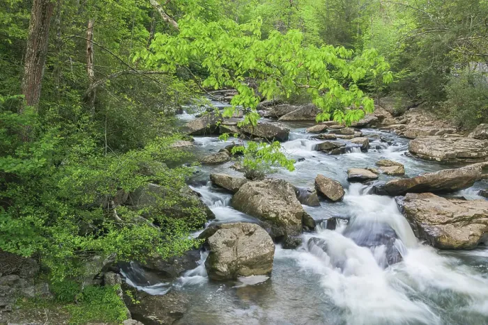 Framed Print : USA, West Virginia, New River Gorge National Park. Scenic with creek water cascade. ©Jay O'Brien  /  Jaynes Gallery  /  DanitaDelimont.com