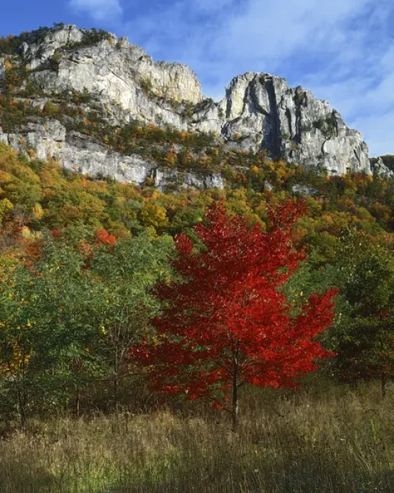 Framed Print : USA, West Virginia, Spruce Knob-Seneca Rocks National Recreation Area, Monongahela Framed Print : USA, West Virginia, Spruce Knob-Seneca Rocks National Recreation Area, Monongahela